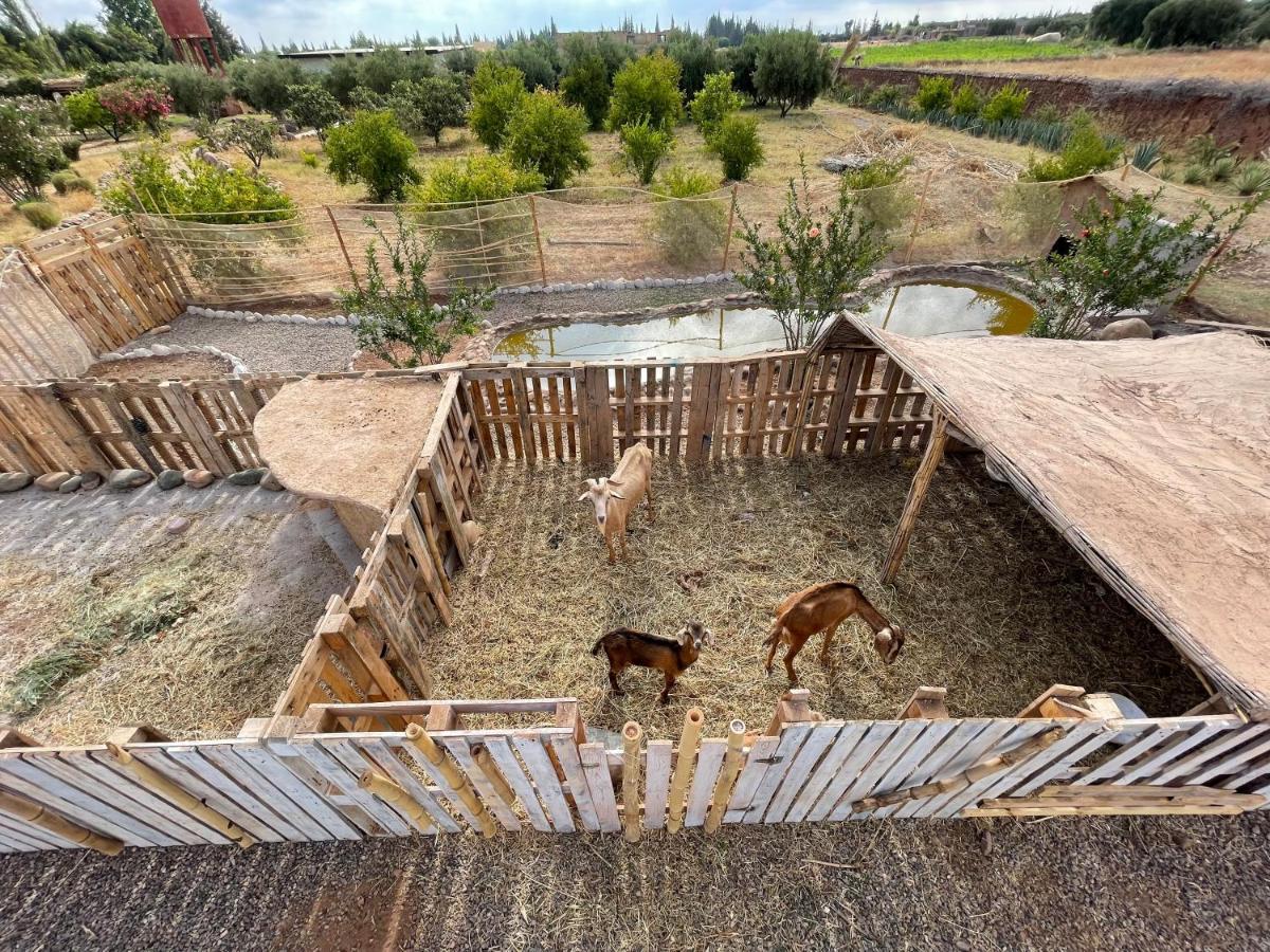 Hotel Jnan Lotf Marrakech - Le Jardin De La Bienviellance El Harkat Exteriér fotografie