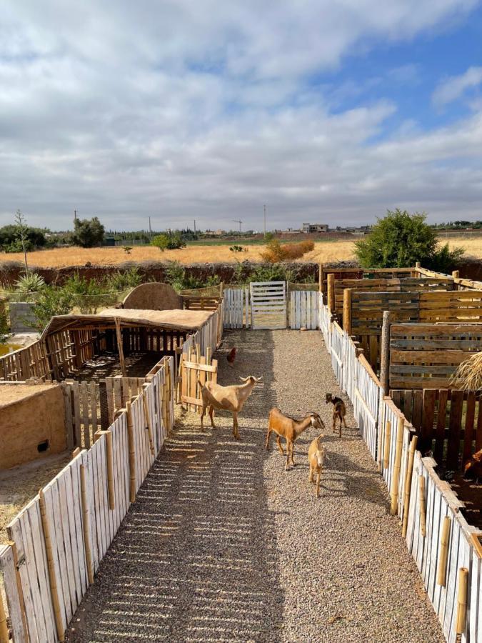 Hotel Jnan Lotf Marrakech - Le Jardin De La Bienviellance El Harkat Exteriér fotografie