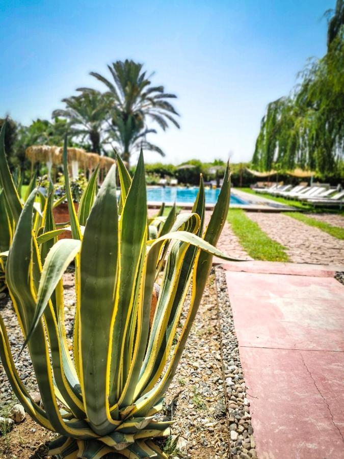 Hotel Jnan Lotf Marrakech - Le Jardin De La Bienviellance El Harkat Exteriér fotografie