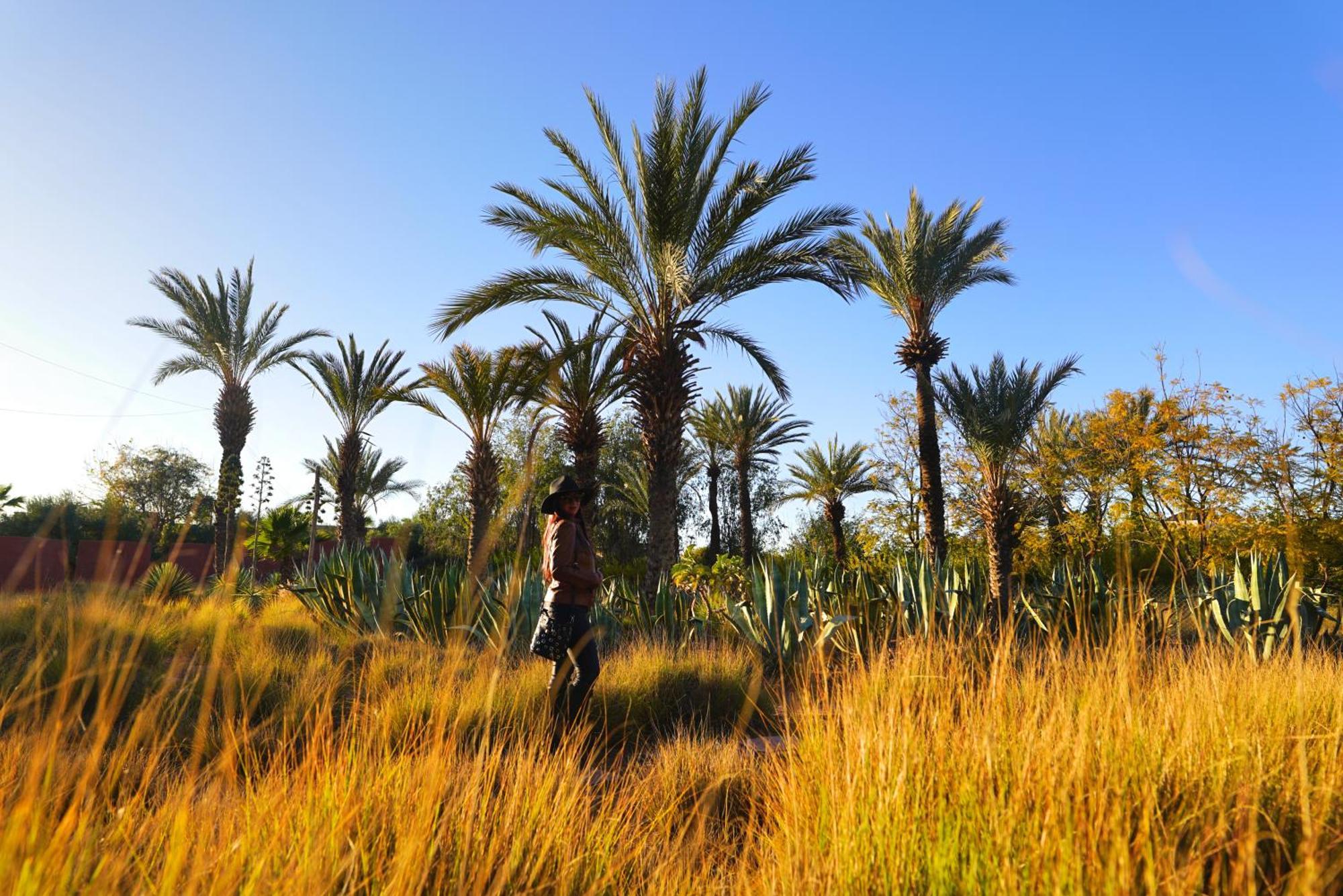 Hotel Jnan Lotf Marrakech - Le Jardin De La Bienviellance El Harkat Exteriér fotografie